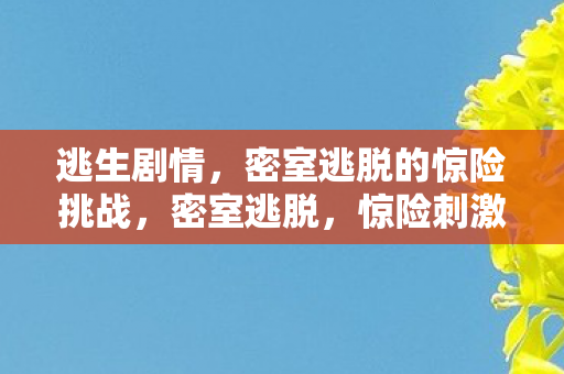 逃生剧情，密室逃脱的惊险挑战，密室逃脱，惊险刺激的逃生挑战