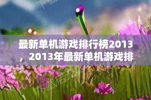 最新单机游戏排行榜2013,2013年最新单机游戏排行榜揭晓 最新单机游戏排行榜2013,2013年最新单机游戏排行榜揭晓