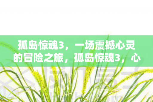 孤岛惊魂3,一场震撼心灵的冒险之旅,孤岛惊魂3,心灵震撼的冒险之旅 孤岛惊魂3,一场震撼心灵的冒险之旅,孤岛惊魂3,心灵震撼的冒险之旅