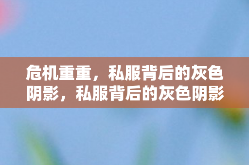 危机重重,私服背后的灰色阴影,私服背后的灰色阴影,危机重重 危机重重,私服背后的灰色阴影,私服背后的灰色阴影,危机重重