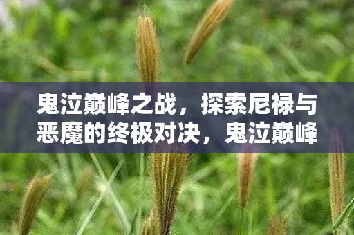 鬼泣巅峰之战，探索尼禄与恶魔的终极对决，鬼泣巅峰之战，尼禄与恶魔的终极对决震撼上演！