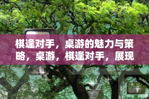 棋逢对手,桌游的魅力与策略,桌游,棋逢对手,展现魅力与策略 棋逢对手,桌游的魅力与策略,桌游,棋逢对手,展现魅力与策略