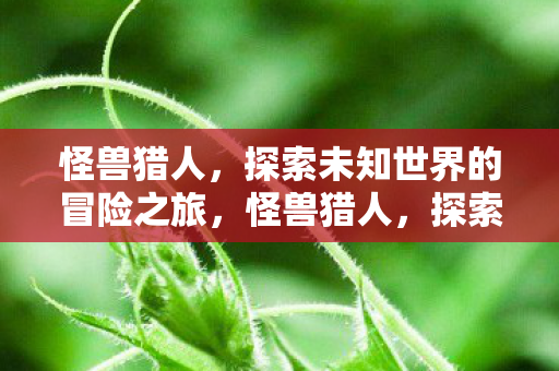 怪兽猎人，探索未知世界的冒险之旅，怪兽猎人，探索未知世界的冒险之旅