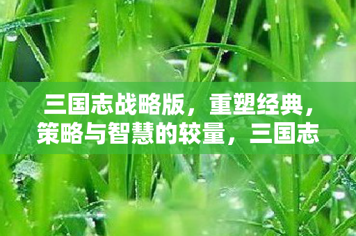 策略与智慧的较量图片