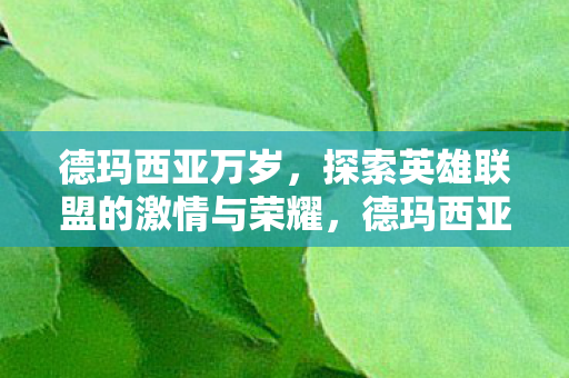 德玛西亚万岁，探索英雄联盟的激情与荣耀，德玛西亚万岁，探索英雄联盟的激情与荣耀