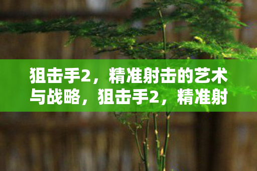 狙击手2,精准射击的艺术与战略,狙击手2,精准射击的艺术与战略 狙击手2,精准射击的艺术与战略,狙击手2,精准射击的艺术与战略