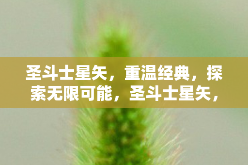 圣斗士星矢，重温经典，探索无限可能，圣斗士星矢，重温经典，探索无限可能