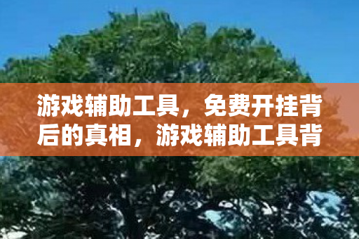 游戏辅助工具，免费开挂背后的真相，游戏辅助工具背后的灰色产业链揭秘