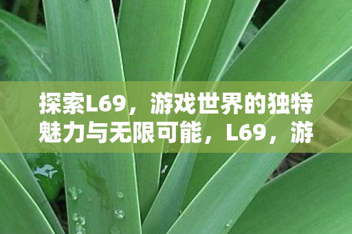探索L69,游戏世界的独特魅力与无限可能,L69,游戏世界的独特魅力与无限可能探索 探索L69,游戏世界的独特魅力与无限可能,L69,游戏世界的独特魅力与无限可能探索