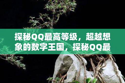 探秘QQ最高等级，超越想象的数字王国，探秘QQ最高等级，数字王国中的无限想象