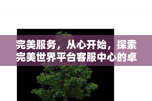 探索完美世界平台客服中心的卓越服务图片