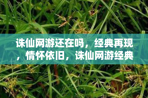 诛仙网游还在吗,经典再现,情怀依旧,诛仙网游经典再现,情怀依旧 诛仙网游还在吗,经典再现,情怀依旧,诛仙网游经典再现,情怀依旧