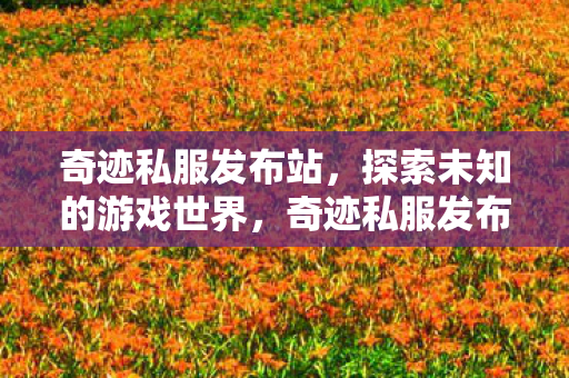 奇迹私服发布站,探索未知的游戏世界,奇迹私服发布站,探索未知的游戏世界之旅 奇迹私服发布站,探索未知的游戏世界,奇迹私服发布站,探索未知的游戏世界之旅