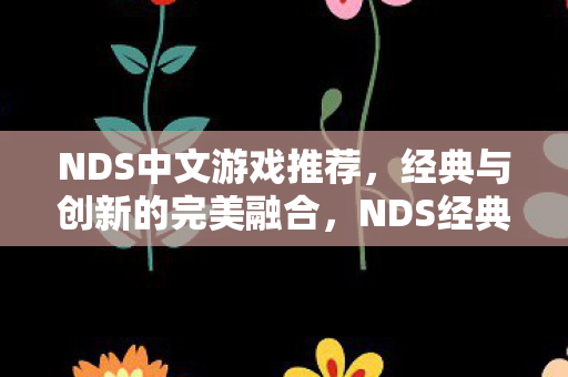 NDS中文游戏推荐，经典与创新的完美融合，NDS经典与创新完美融合中文游戏推荐