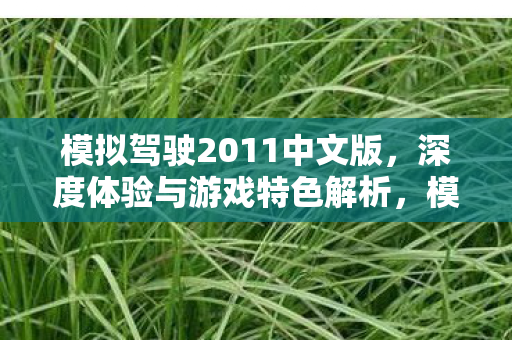 模拟驾驶2011中文版,深度体验与游戏特色解析,模拟驾驶2011中文版深度体验与特色解析 模拟驾驶2011中文版,深度体验与游戏特色解析,模拟驾驶2011中文版深度体验与特色解析