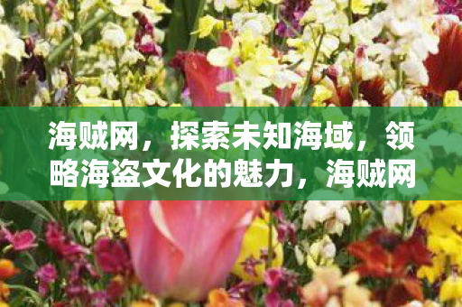 海贼网,探索未知海域,领略海盗文化的魅力,海贼网,探索未知海域,领略海盗文化的魅力 海贼网,探索未知海域,领略海盗文化的魅力,海贼网,探索未知海域,领略海盗文化的魅力