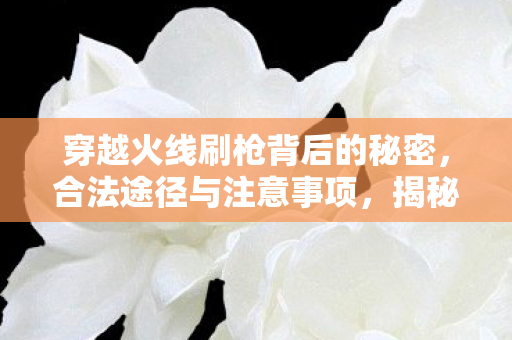 穿越火线刷枪背后的秘密，合法途径与注意事项，揭秘穿越火线刷枪背后的秘密，合法途径与注意事项