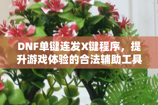 DNF单键连发X键程序,提升游戏体验的合法辅助工具,DNF单键连发X键程序,合法提升游戏体验的辅助工具 DNF单键连发X键程序,提升游戏体验的合法辅助工具,DNF单键连发X键程序,合法提升游戏体验的辅助工具