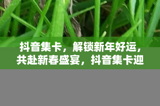 抖音集卡,解锁新年好运,共赴新春盛宴,抖音集卡迎新春,解锁好运共盛宴 抖音集卡,解锁新年好运,共赴新春盛宴,抖音集卡迎新春,解锁好运共盛宴