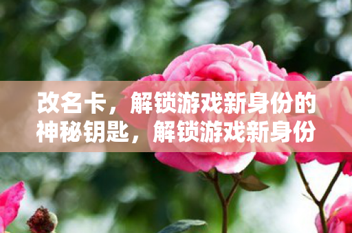 改名卡,解锁游戏新身份的神秘钥匙,解锁游戏新身份的神秘钥匙,改名卡 改名卡,解锁游戏新身份的神秘钥匙,解锁游戏新身份的神秘钥匙,改名卡