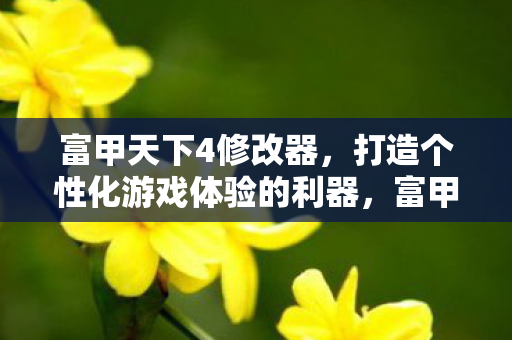 富甲天下4修改器，打造个性化游戏体验的利器，富甲天下4修改器，打造个性化游戏体验的利器