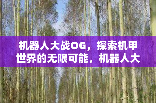 机器人大战OG，探索机甲世界的无限可能，机器人大战OG，机甲世界的无限探索之旅