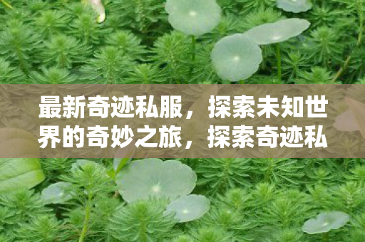 最新奇迹私服，探索未知世界的奇妙之旅，探索奇迹私服，开启未知世界的奇妙旅程