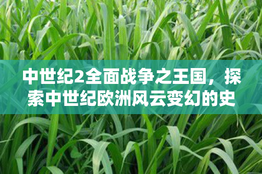 中世纪2全面战争之王国,探索中世纪欧洲风云变幻的史诗战役,中世纪2全面战争之王国,探索欧洲风云变幻的史诗战役 中世纪2全面战争之王国,探索中世纪欧洲风云变幻的史诗战役,中世纪2全面战争之王国,探索欧洲风云变幻的史诗战役