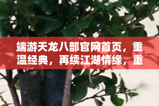 端游天龙八部官网首页图片