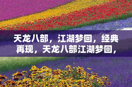 天龙八部江湖梦回图片