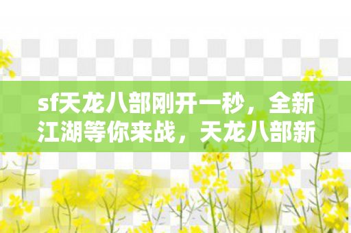 sf天龙八部刚开一秒图片