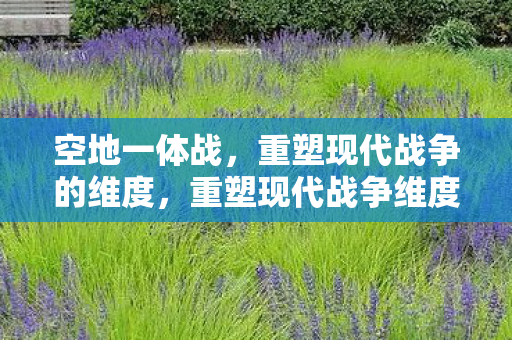 空地一体战,重塑现代战争的维度,重塑现代战争维度,空地一体战战略解析 空地一体战,重塑现代战争的维度,重塑现代战争维度,空地一体战战略解析