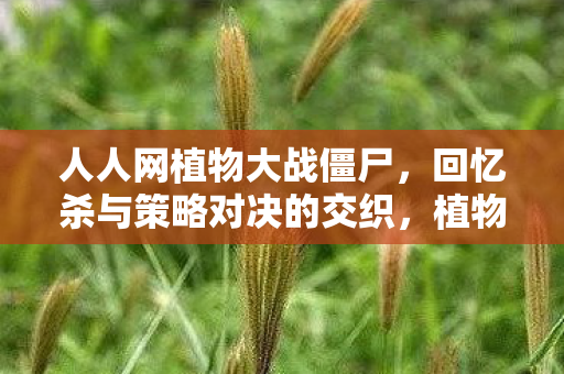 人人网植物大战僵尸,回忆杀与策略对决的交织,植物大战僵尸在人人网掀起回忆杀,策略对决再燃战火! 人人网植物大战僵尸,回忆杀与策略对决的交织,植物大战僵尸在人人网掀起回忆杀,策略对决再燃战火!