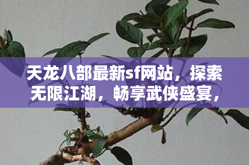 天龙八部最新sf网站图片