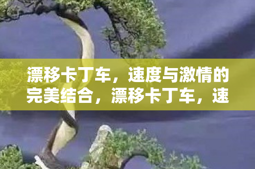 漂移卡丁车,速度与激情的完美结合,漂移卡丁车,速度与激情的完美碰撞 漂移卡丁车,速度与激情的完美结合,漂移卡丁车,速度与激情的完美碰撞