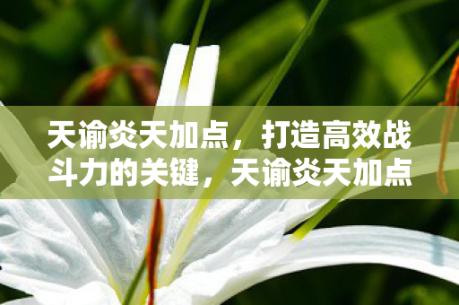 天谕炎天加点，打造高效战斗力的关键，天谕炎天加点，打造高效战斗力的关键