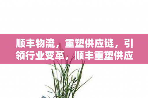 顺丰物流,重塑供应链,引领行业变革,顺丰重塑供应链,引领物流行业变革 顺丰物流,重塑供应链,引领行业变革,顺丰重塑供应链,引领物流行业变革