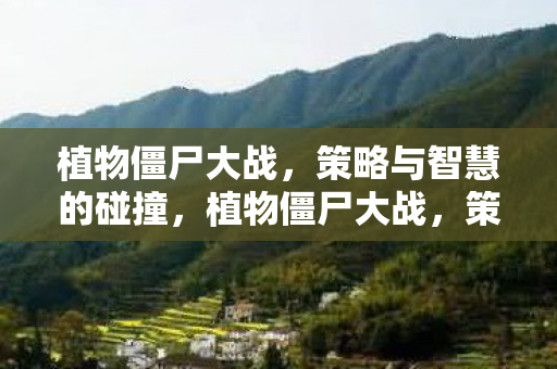 植物僵尸大战,策略与智慧的碰撞,植物僵尸大战,策略与智慧的终极对决 植物僵尸大战,策略与智慧的碰撞,植物僵尸大战,策略与智慧的终极对决