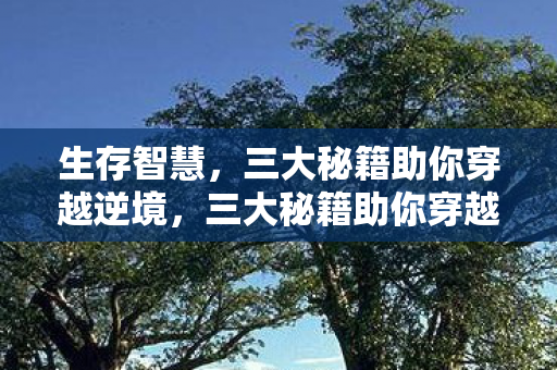 生存智慧,三大秘籍助你穿越逆境,三大秘籍助你穿越逆境,掌握生存智慧 生存智慧,三大秘籍助你穿越逆境,三大秘籍助你穿越逆境,掌握生存智慧