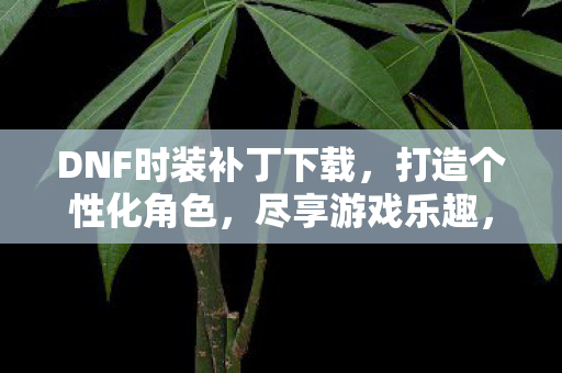 DNF时装补丁下载，打造个性化角色，尽享游戏乐趣，DNF时装补丁，打造个性化角色，尽享游戏乐趣