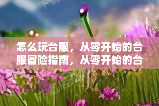 怎么玩台服,从零开始的台服冒险指南,从零开始的台服冒险指南,玩转台服全攻略 怎么玩台服,从零开始的台服冒险指南,从零开始的台服冒险指南,玩转台服全攻略