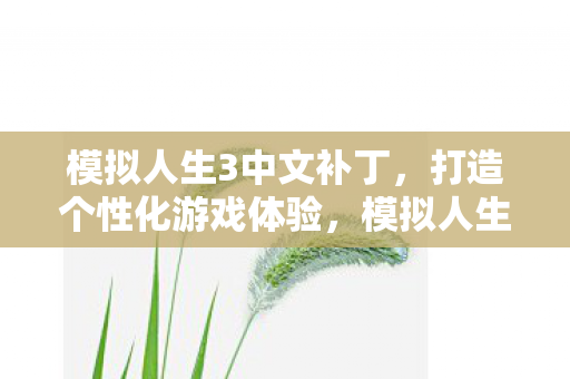 模拟人生3中文补丁,打造个性化游戏体验,模拟人生3中文补丁,打造个性化游戏体验 模拟人生3中文补丁,打造个性化游戏体验,模拟人生3中文补丁,打造个性化游戏体验