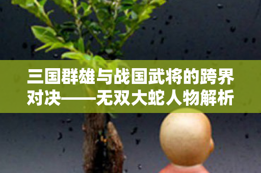 三国群雄与战国武将的跨界对决——无双大蛇人物解析,三国群雄与战国武将的跨界对决,无双大蛇人物解析 三国群雄与战国武将的跨界对决——无双大蛇人物解析,三国群雄与战国武将的跨界对决,无双大蛇人物解析