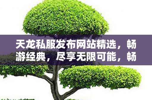 天龙私服发布网站精选图片