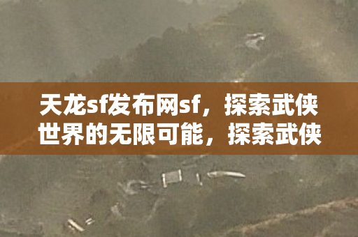 探索武侠世界的无限可能图片