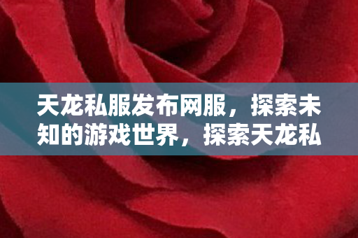 探索天龙私服发布网服图片