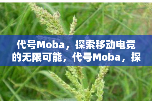 探索移动电竞的无限可能图片