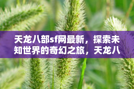 开启探索未知世界的奇幻之旅图片
