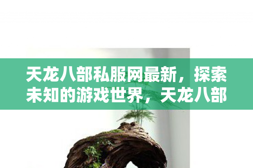 天龙八部私服网最新探索图片