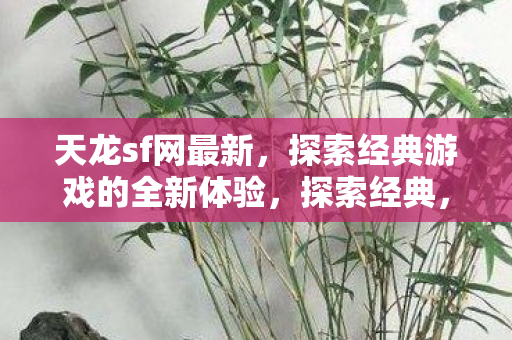 探索经典游戏的全新体验图片
